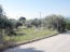 For sale:  land - Thasos (4117-704) | Dom2000.com #24525571