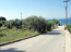 For sale:  land - Thasos (4117-704) | Dom2000.com #24525572
