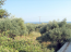 For sale:  land - Thasos (4117-704) | Dom2000.com #24525574