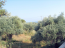 For sale:  land - Thasos (4117-704) | Dom2000.com #24525576