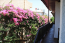 For sale:  home - Iraklion (crete) (6579-705) | Dom2000.com #43555951