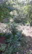 For sale:  home - Якира улица, 10д, Slov'yansk city (9656-705) | Dom2000.com #66998684