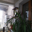 For sale:  2-room apartment - Электрическая ул., Dnipropetrovsk city (9665-705) | Dom2000.com #67082357