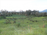 Продам земельный участок - Керкира (Корфу) (4118-706) | Dom2000.com