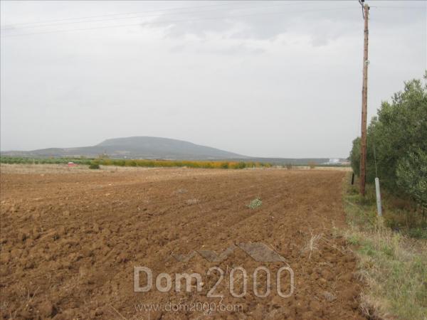 For sale:  land - Chalkidiki (7678-709) | Dom2000.com