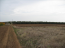 For sale:  land - Chalkidiki (7678-709) | Dom2000.com #51375610