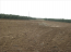 For sale:  land - Chalkidiki (7678-709) | Dom2000.com #51375611