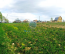 For sale:  land - Russia (10547-712) | Dom2000.com #76534850