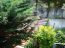 For sale:  home - Asprovaltа (4110-712) | Dom2000.com #24449920