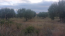 For sale:  land - Sithonia (4595-715) | Dom2000.com #28780126