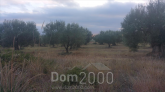 For sale:  land - Sithonia (4595-715) | Dom2000.com