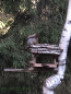 For sale:  home - д. Marenkino (10635-718) | Dom2000.com #77819851