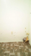 For sale:  home - Tsirkuni village (9942-723) | Dom2000.com #69812982