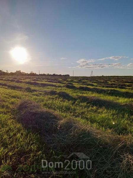 For sale:  land - д. Horamakasy (10635-733) | Dom2000.com
