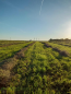For sale:  land - д. Horamakasy (10635-733) | Dom2000.com #77820027