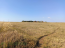 For sale:  land - д. Horamakasy (10635-733) | Dom2000.com #77820029