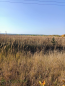 For sale:  land - д. Horamakasy (10635-733) | Dom2000.com #77820032