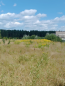 For sale:  land - Тетерівка / 1 Травня вул., Zhitomir city (10502-734) | Dom2000.com #76004444