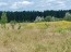 For sale:  land - Тетерівка / 1 Травня вул., Zhitomir city (10502-734) | Dom2000.com #76004445