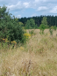 For sale:  land - Тетерівка / 1 Травня вул., Zhitomir city (10502-734) | Dom2000.com #76004446