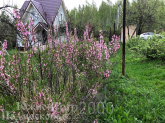 For sale:  home - д. Lanshino (10646-734) | Dom2000.com