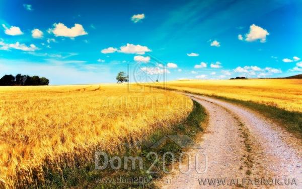Продам земельну ділянку - ул. Центральная, с. Майданівка (3701-734) | Dom2000.com