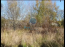 For sale:  land - микрорайон Ксенон, Светлая улица, 163 str., Russia (10606-735) | Dom2000.com #77121549
