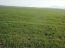 For sale:  land - Chalkidiki (4118-739) | Dom2000.com #24536582