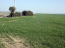 For sale:  land - Chalkidiki (4118-739) | Dom2000.com #24536583