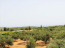 For sale:  home - Iraklion (crete) (4116-744) | Dom2000.com #24515411