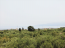 For sale:  home - Iraklion (crete) (4116-744) | Dom2000.com #24515412