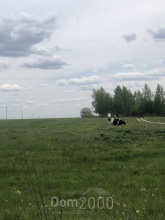 For sale:  land - д. Spasskoe (10571-746) | Dom2000.com
