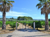 For sale:  land - Pelloponese (4111-746) | Dom2000.com