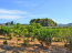 For sale:  land - Pelloponese (4111-746) | Dom2000.com #24461708