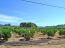 For sale:  land - Pelloponese (4111-746) | Dom2000.com #24461709