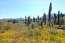 For sale:  land - Kerkyra (Corfu island) (4880-746) | Dom2000.com #31036246
