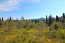 For sale:  land - Kerkyra (Corfu island) (4880-746) | Dom2000.com #31036247