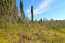 For sale:  land - Kerkyra (Corfu island) (4880-746) | Dom2000.com #31036248