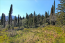 For sale:  land - Kerkyra (Corfu island) (4880-746) | Dom2000.com #31036249