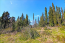 For sale:  land - Kerkyra (Corfu island) (4880-746) | Dom2000.com #31036250