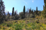 For sale:  land - Kerkyra (Corfu island) (4880-746) | Dom2000.com #31036251