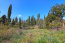 For sale:  land - Kerkyra (Corfu island) (4880-746) | Dom2000.com #31036252