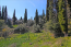 For sale:  land - Kerkyra (Corfu island) (4880-746) | Dom2000.com #31036253