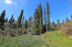 For sale:  land - Kerkyra (Corfu island) (4880-746) | Dom2000.com #31036255