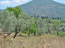 For sale:  land - Евія (4116-749) | Dom2000.com #24515492