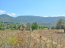 For sale:  land - Евія (4116-749) | Dom2000.com #24515493