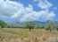 For sale:  land - Евія (4116-749) | Dom2000.com #24515496