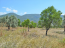 For sale:  land - Евія (4116-749) | Dom2000.com #24515497