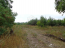 For sale:  land - ул. Центральная, Petrivske village (3701-750) | Dom2000.com #21185702