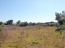 For sale:  land - Sithonia (4113-751) | Dom2000.com #24482692